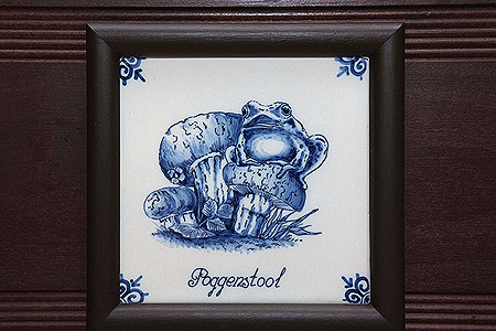 Foto aus der Fotogruppe 