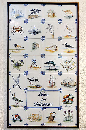 Foto aus der Fotogruppe 