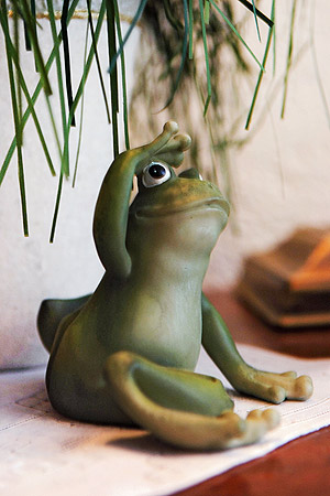 Foto aus der Fotogruppe 